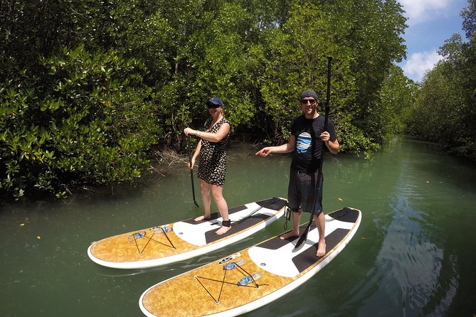 Mangroves SUP Tour Phuket - Is $55.45 a fair price?