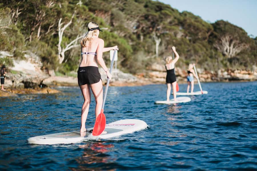 Manly Stand Up Paddle Board Hire - Key points about paddling North Harbour