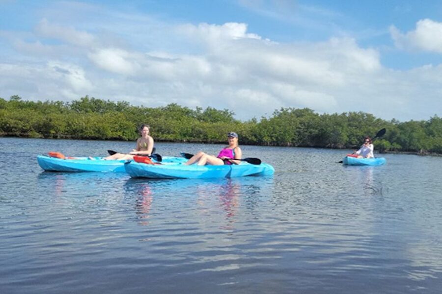 Marco Island: Guided Manatee-Watching Kayaking or SUP Tour - Who will enjoy this Marco Island tour most?