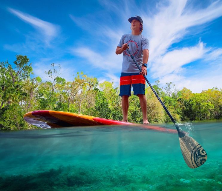 Marco Island: Guided Manatee-Watching Kayaking or SUP Tour - Paddling through Marco Island’s clear waterways
