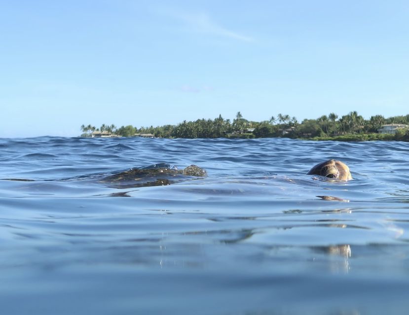 Maui: Beginner Level Private Stand-Up Paddleboard Lesson - Starting at Polo Beach with a simple plan