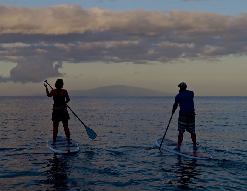 Maui: Beginner Level Private Stand-Up Paddleboard Lesson - Timing, cancellation, and what to bring