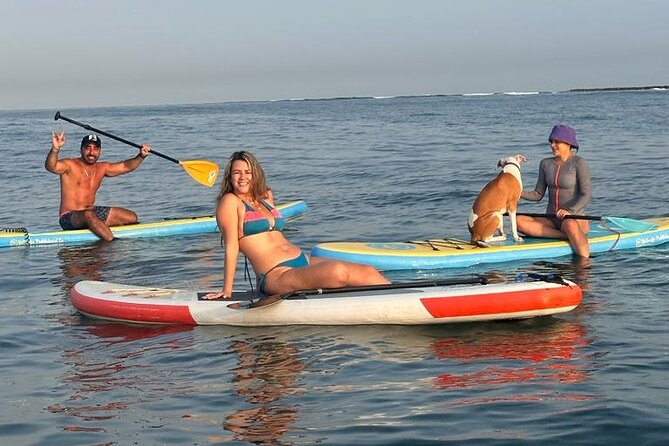 Miami Beach Paddleboard Rental with Instruction - Choosing between canals and open coastal water