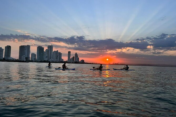 Miami Beach Paddleboard Rental with Instruction - Where the $19 price makes sense