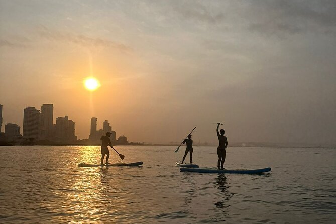 Miami Beach Paddleboard Rental with Instruction - Who should book this Miami Beach rental