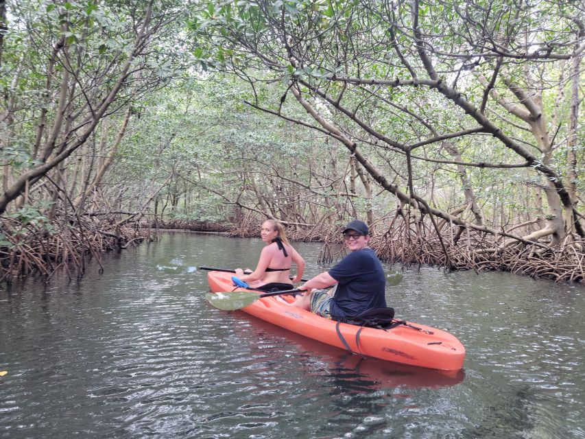 Miami: Beginner-Friendly Island Snorkeling by SUP or Kayak - Key points to know before booking