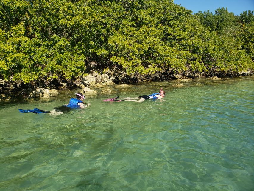 Miami: Beginner-Friendly Island Snorkeling by SUP or Kayak - Learning to paddle before the mangroves