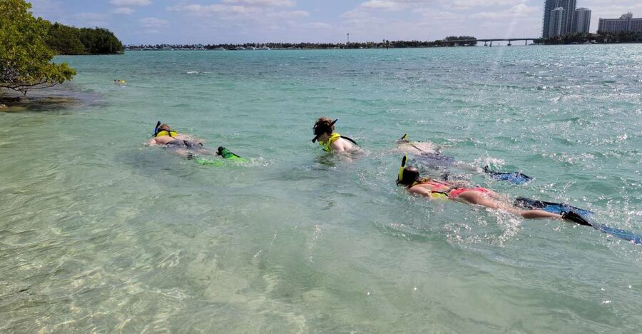 Miami: Beginner-Friendly Island Snorkeling by SUP or Kayak - What the snorkeling is really like