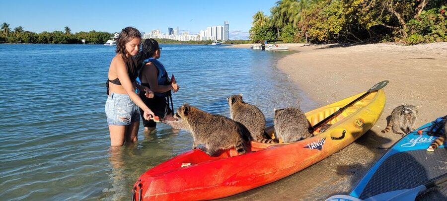 Miami: Beginner-Friendly Island Snorkeling by SUP or Kayak - Fruit, drinks, and time to slow down