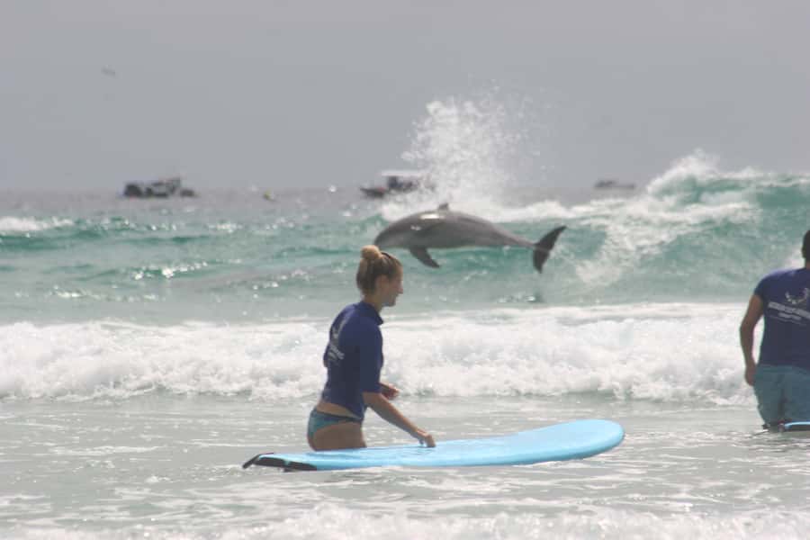 Miami: Group Surf Lesson - Key points to know before you book