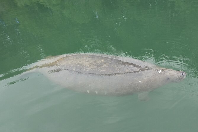 Miami Kayak and Paddleboard Rentals in Virginia Key - Lamar Lake gives you a gentle start