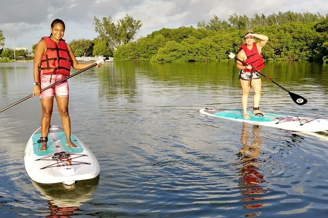 Miami Kayak and Paddleboard Rentals in Virginia Key - Wildlife is the reward for slowing down