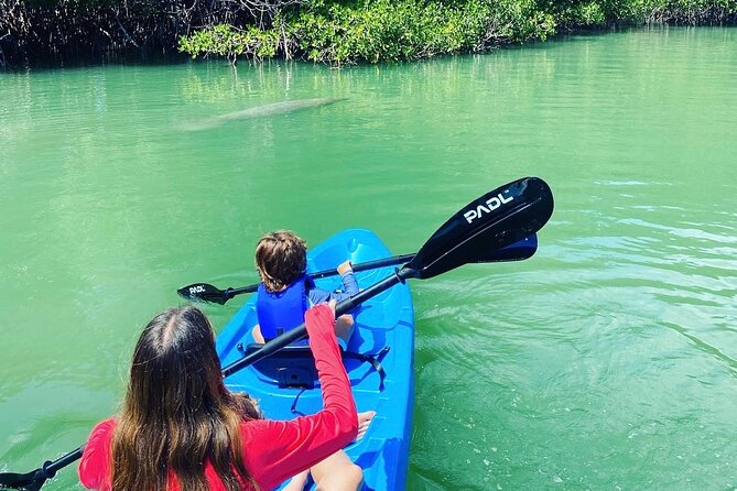 Miami Kayak and Paddleboard Rentals in Virginia Key - Staff service keeps the outing moving