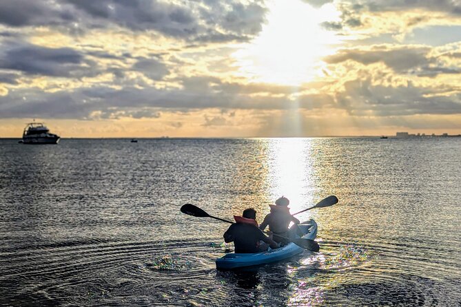 Miami Kayak and Paddleboard Rentals on Biscayne Bay - Should you book the PADL Biscayne Bay rental?
