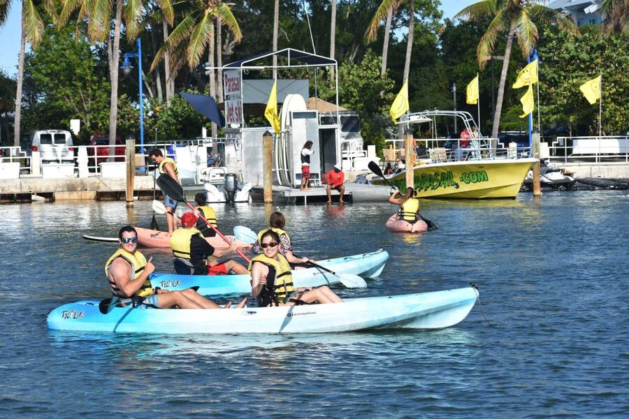 Miami: Kayak or Paddleboard Rental - One hour on Biscayne Bay