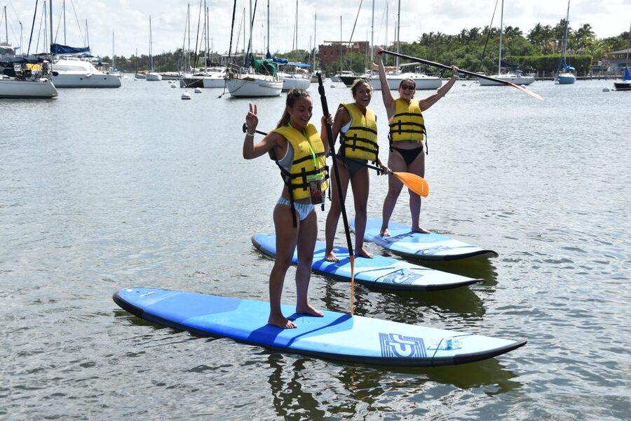 Miami: Kayak or Paddleboard Rental - What makes the setting worth your time