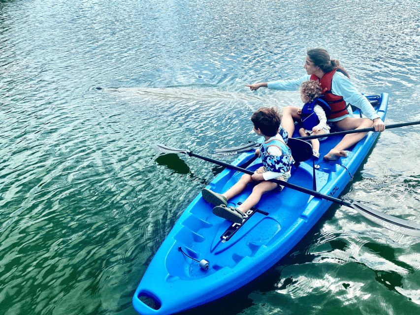 Miami: Manatee Season Paddleboard or Kayak Tour - Why the manatees make this Miami tour special