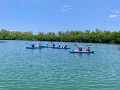 Manatee Season Paddleboard or Kayak Tour
