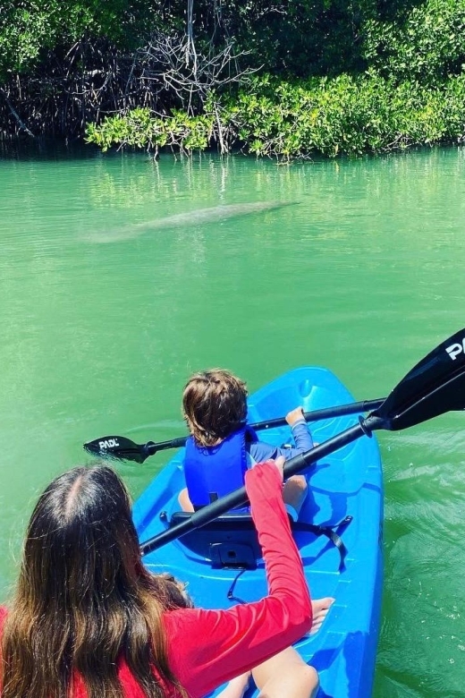 Miami: Manatee Season Paddleboard or Kayak Tour - Lamar Lake and the quieter water