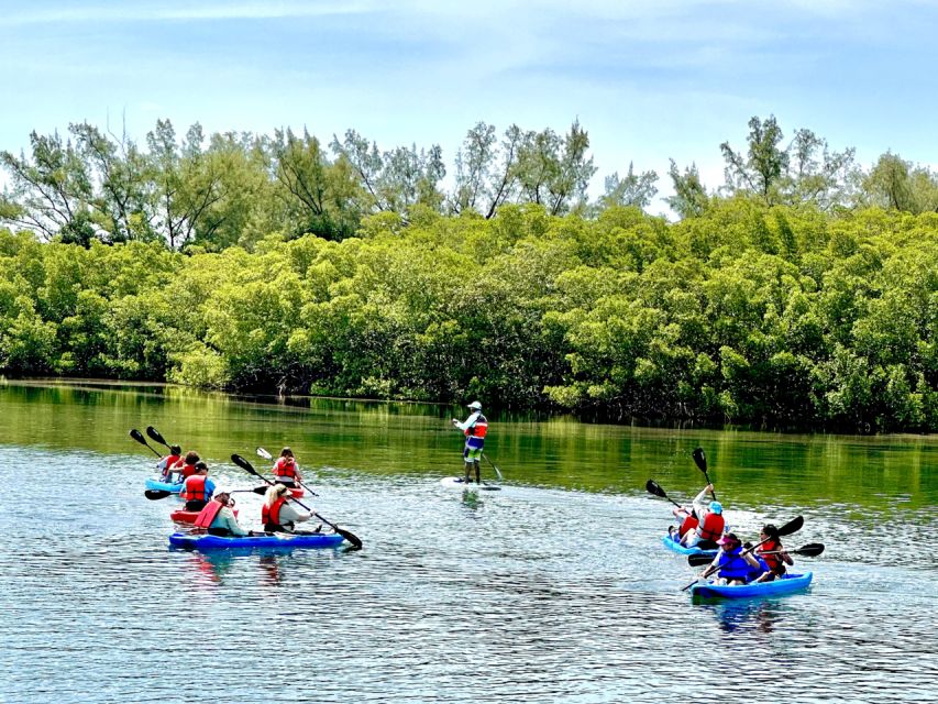 Miami: Manatee Season Paddleboard or Kayak Tour - Biscayne Bay with manatees and skyline views