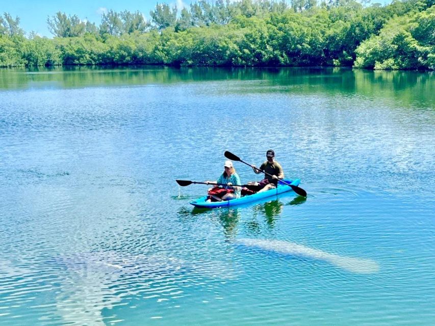 Miami: Manatee Season Paddleboard or Kayak Tour - What the two hours really feel like