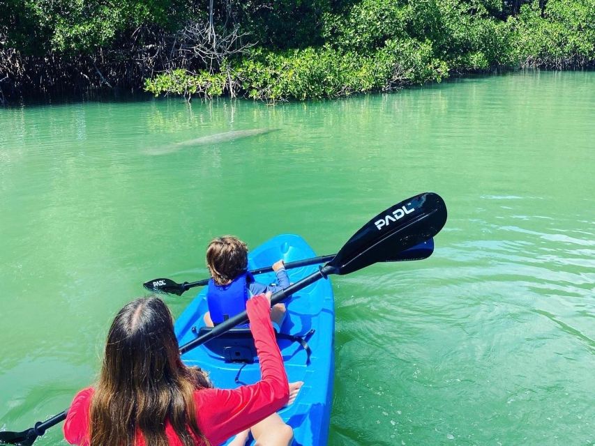 Miami: Paddle Board or Kayak Rental in Virginia Key - Key points to know before you paddle