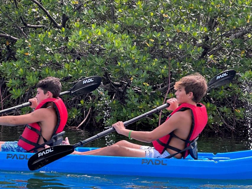 Miami: Paddle Board or Kayak Rental in Virginia Key - Who will enjoy this most