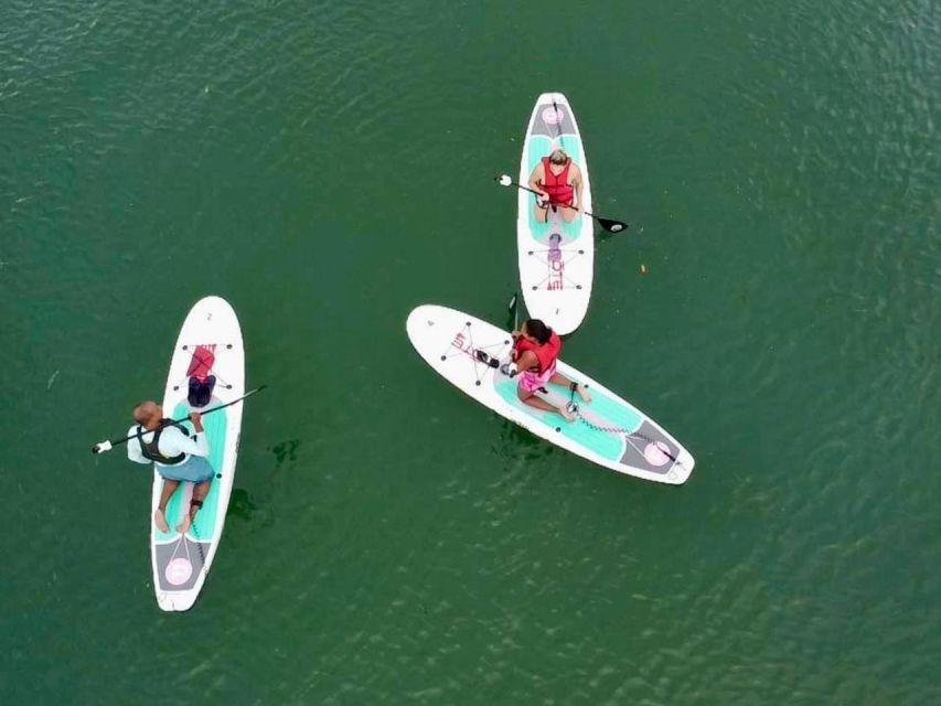 Miami: Paddle Board or Kayak Rental in Virginia Key - Choosing a paddle board or kayak