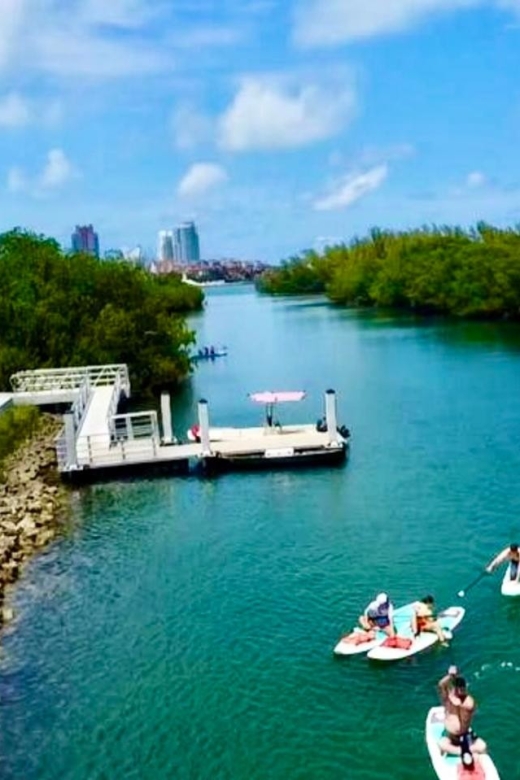 Miami: Paddle Board or Kayak Rental in Virginia Key - Biscayne Bay and the Downtown Miami view