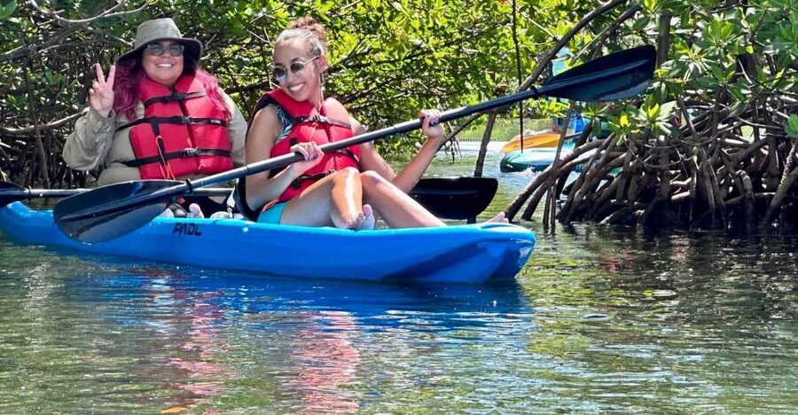 Miami: Paddle Board or Kayak Rental in Virginia Key - Wildlife sightings from November through April