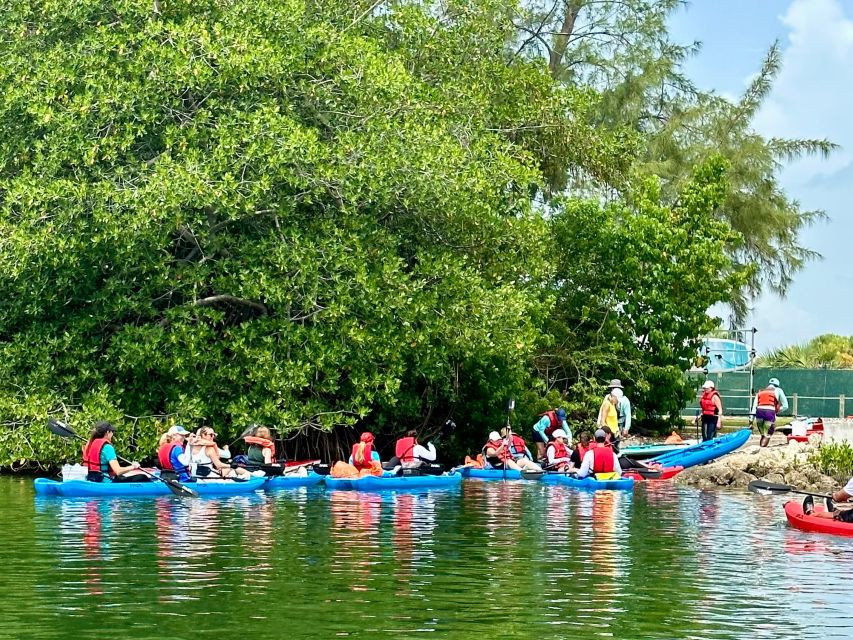Miami: Paddle Board or Kayak Rental in Virginia Key - How much value do you get for $26?