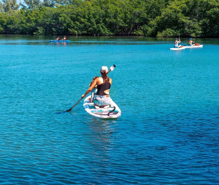 Miami: Paddle Board or Kayak Rental - PADL Beach Club - Choosing a paddleboard or kayak