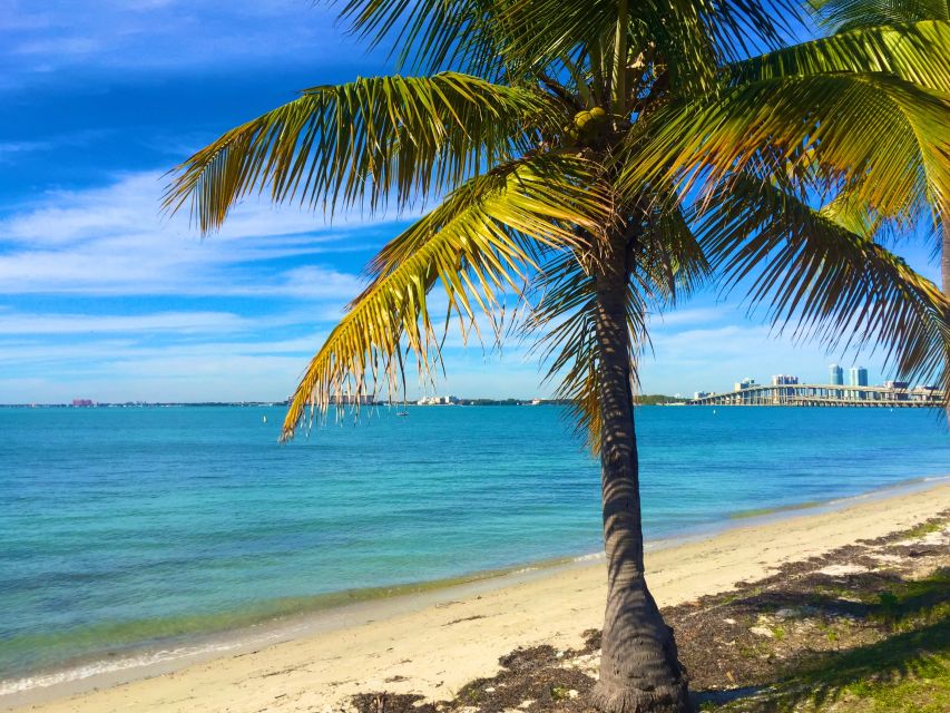 Miami: Windsurfing for Beginners and Experts - Learning to windsurf in Key Biscayne’s shallow bay