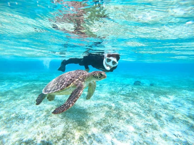 Miyako island: 3 sets! Snorkeling/Limestone Caving/Beach SUP - Starting at Imgya Marine Garden with a paddle