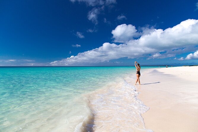 [Miyako Island/Full Day] Sea Turtle Snorkeling & SUP or Canoe - Photos make this more useful than a normal beach day