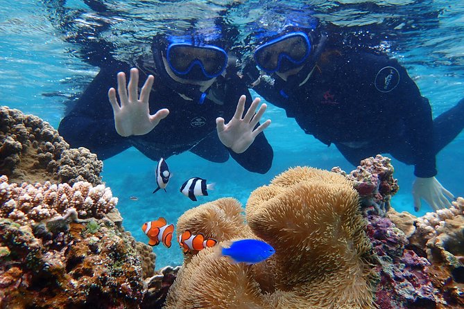 [Miyako Island/Full Day] Sea Turtle Snorkeling & SUP or Canoe - Weather, tides, and schedule changes