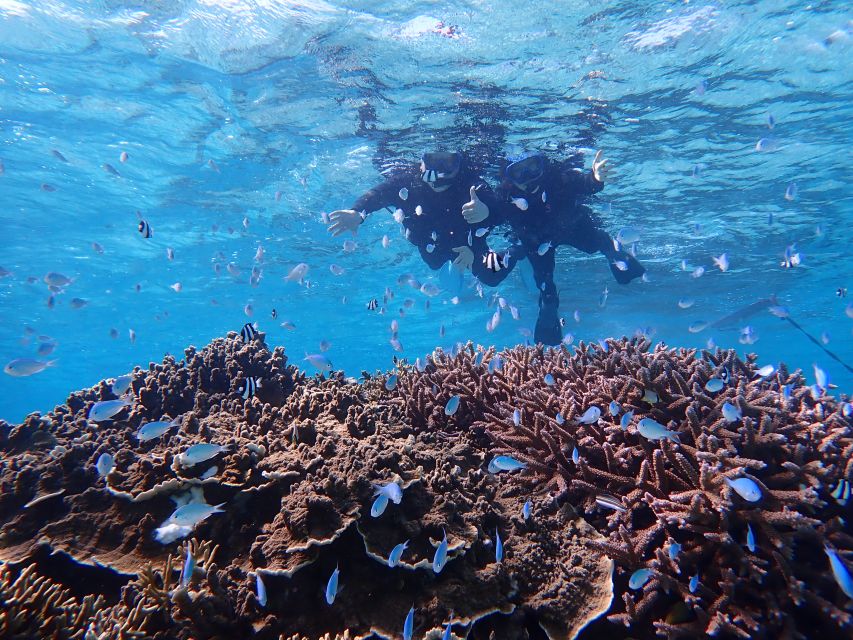 Miyako Island: SUP or Canoeing and Snorkeling Experience - FAQ