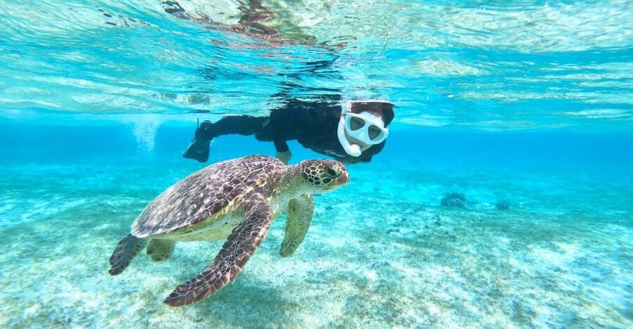Miyako Island: SUP or Canoeing and Snorkeling Experience - Two kinds of Miyako water in one day