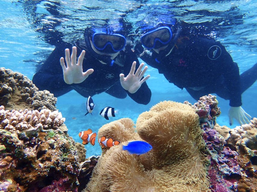 Miyako Island: SUP or Canoeing and Snorkeling Experience - What the $87 price really covers
