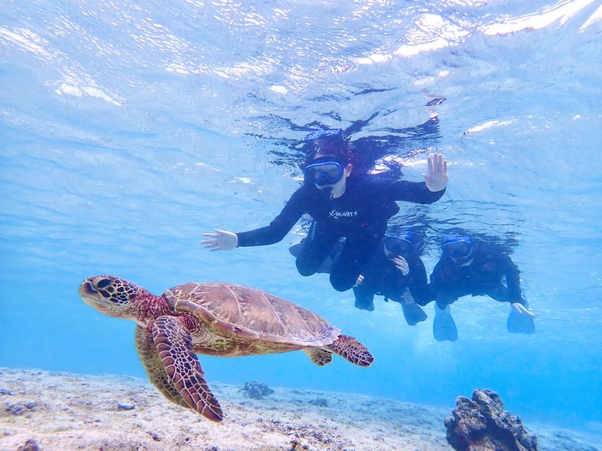 Miyako Island: SUP or Canoeing and Snorkeling Experience - Who will enjoy this Miyako experience
