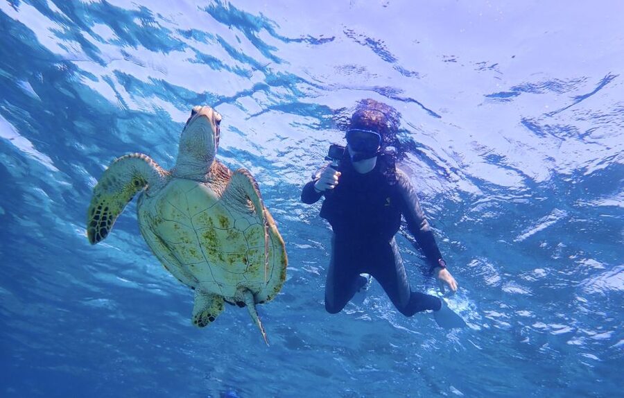 Miyako Island: SUP or Canoeing and Snorkeling Experience - My verdict: book it for an easy two-part sea day