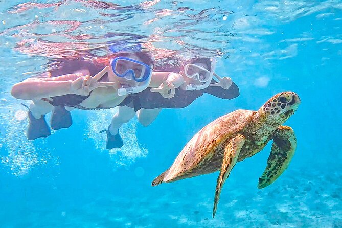 Miyako Two Activities in Half Day SUP and Sea Turtle Snorkeling - Key points to know