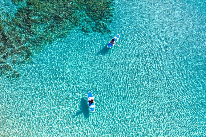 Miyako Two Activities in Half Day SUP and Sea Turtle Snorkeling - Guides who keep the pace manageable