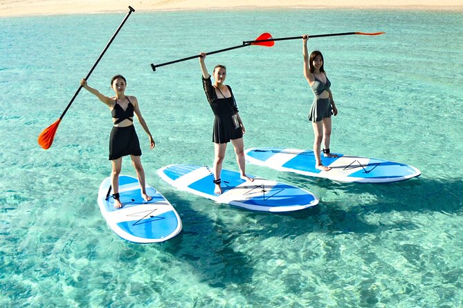 Miyako Two Activities in Half Day SUP and Sea Turtle Snorkeling - Who gets the best value from the $74.93 price