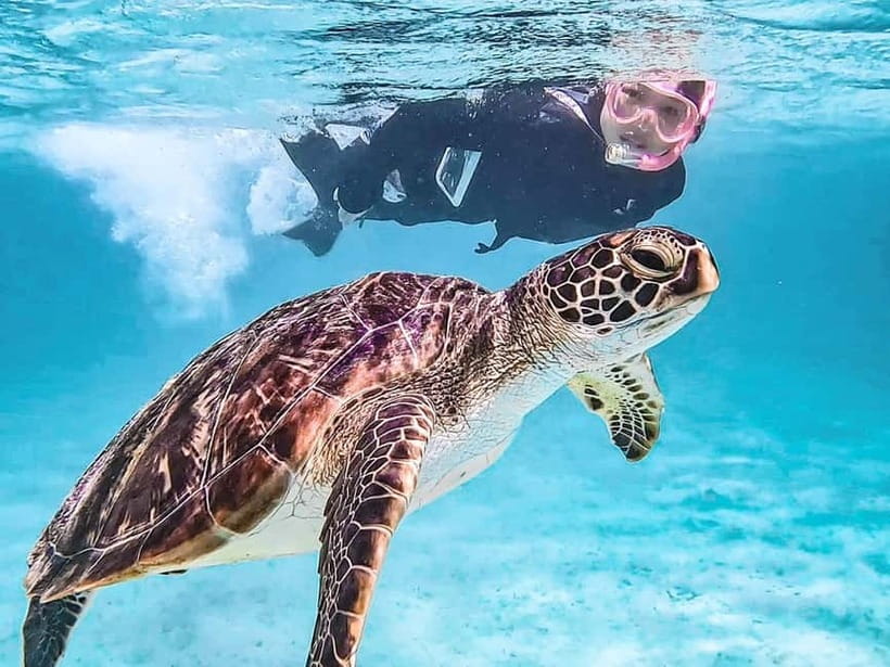 Miyakojima: SUP and Snorkeling- Two Activities in One Day - Practical details that can save you trouble