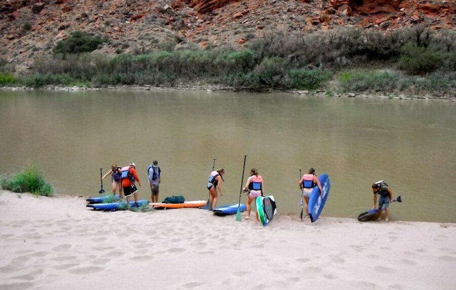 Moab: Stand-Up Paddleboard with small rapids on Colorado - Two and a half hours on moving water