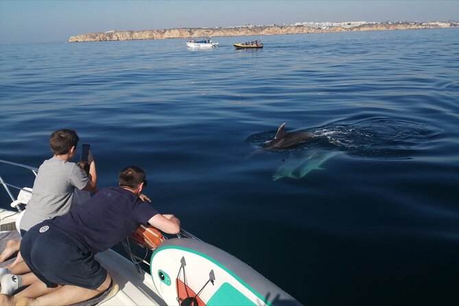 Morning private charter with drinks tapas, paddle boards &kayak - Tapas, drinks, and a slower pace