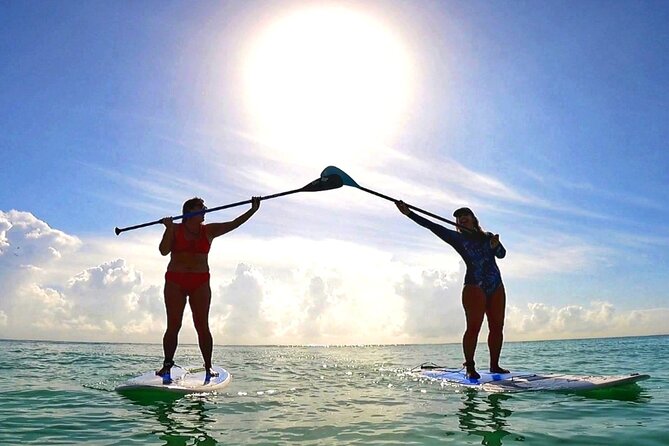 Morning Session - All Levels Paddleboard Group Caribbean Sea - Paddling the Caribbean during the morning