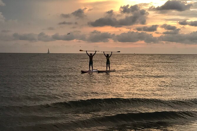 MORNING TOUR PaddleBoard or kayak - What happens before you launch