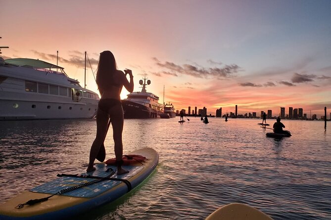 MORNING TOUR PaddleBoard or kayak - One hour across Miami’s bay water